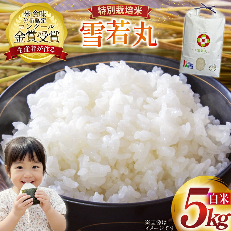 楽天山形県高畠町【ふるさと納税】 米 令和7年産 雪若丸 5kg 特別栽培米 精米 [農家の蔵出し米生産組合 山形県 高畠町 tk06ays900000] コメ ご飯 ごはん お米 ブランド米