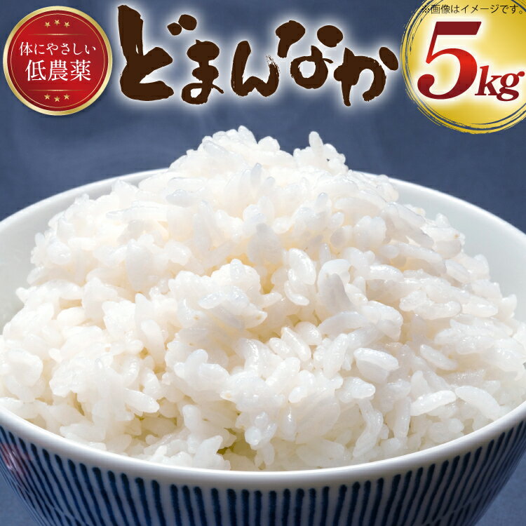 〜低農薬有機肥料栽培で体にやさしい〜　【ふるさと納税】 米 令和6年産 どまんなか 白米 5kg [冨樫商店 山形県 高畠町 tk06ayt290007] こめ コメ 精米 ごはん ご飯 ブランド米