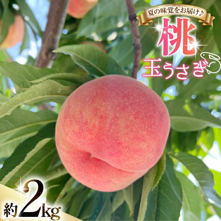 [期間限定発送] 桃 玉うさぎ 2kg [東城農園 山形県 高畠町 tk06ayt370003] もも モモ 果物 くだもの フルーツ 冷蔵