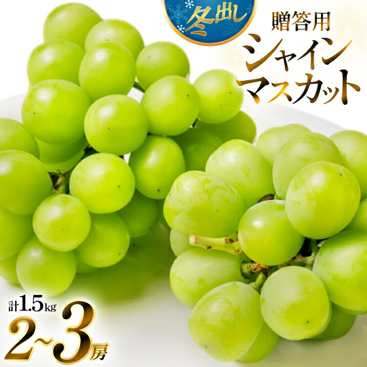 [期間限定発送] 2026年 冬出し 贈答用 シャインマスカット 1.5kg (2〜3房) [いわた果樹園 山形県 高畠町 tk06ayt400004] ぶどう ブドウ 葡萄 マスカット フルーツ 果物 くだもの 産地直送 農家直送 果実 デザート シャイン