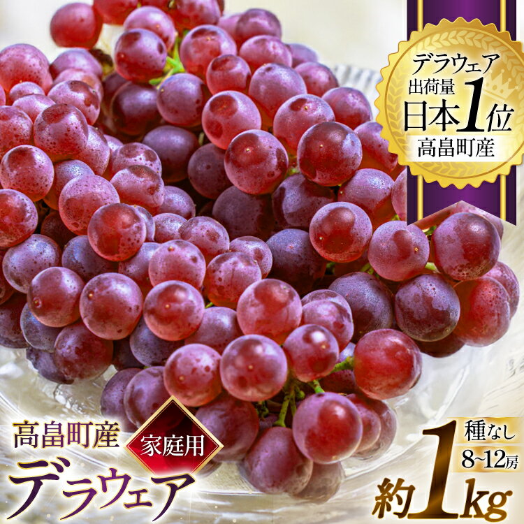 [期間限定発送] 家庭用 訳あり デラウェア 8〜12房 約1kg [いわた果樹園 山形県 高畠町 tk06ayt400006] ぶどう 種無し ブドウ 葡萄 くだもの 果物 フルーツ 産地直送 農家直送 期間限定