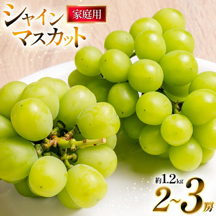[期間限定発送] 家庭用 訳あり シャインマスカット 2〜3房 約1.2kg [いわた果樹園 山形県 高畠町 tk06ayt400007] ぶどう ブドウ 葡萄 フルーツ 果物 くだもの 甘い シャイン マスカット