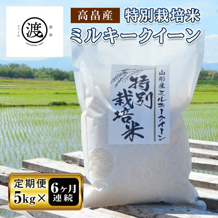 【定期便】 米 白米 ミルキークイーン 5kg × 6回 定期 計30kg | ふるさと納税 米 白米 お米 ご飯 高級 ミルキークイーン 山形 高畠町 2023 ふるさと 人気 送料無料 ランキング F20B-161