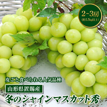 《先行予約》山形県置賜産 冬のシャインマスカット 秀2～3房（約1.5kg以上） F20B-246