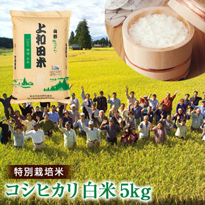 山形県 高畠町産 特別栽培米 コシヒカリ 白米 5kg お米 ブランド米 米 ごはん ご飯 F20B-215