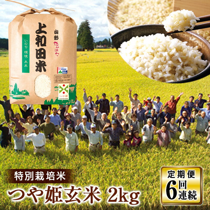 【ふるさと納税】 【定期便】山形県 高畠町産 特別栽培米 つや姫 玄米 2kg×6回 お米 ブランド米 米 ごはん ご飯 F20B-218