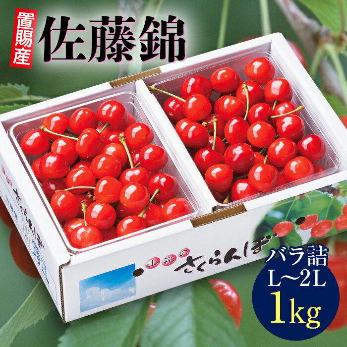 【ふるさと納税】《先行予約》置賜産さくらんぼ佐藤錦1kg 特秀 バラ詰L～2L F20B-249