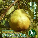 返礼品詳細 名称 洋梨 内容量 ラ・フランス 秀以上 3kg（7〜9玉）1箱 産地 山形県高畠町産 消費期限 保存方法 常温 配送方法 常温 発送期日 2024年11月上旬～12月上旬に発送予定 事業者 JA山形おきたま 注意事項 ※画像はイメージです。 ・ふるさと納税よくある質問は こちら ・寄付申込みのキャンセル、返礼品の変更・返品はできません。あらかじめご了承ください。【ふるさと納税】《先行予約》山形県高畠町産 ラ・フランス7〜9玉（3kg） 《先行予約》山形県高畠町産 ラ・フランス7〜9玉（3kg） 山形県は、西洋梨生産量が全国第1位。「ラ・フランス」は全国生産量の約80パーセントを占めています。 その理由は豊かな土壌と昼夜の温度差が大きい独特の気候。 色や形がふぞろいで、決して見栄えが良いとは言えない「ラ・フランス」。 ところが、食べてみると驚くほど上品でとろけるようなおいしさ！ 実は高畠町はラ・フランスを山形県で一番最初に栽培された地域とも言われております。 その中でも厳選した商品を詰めてお送りします！