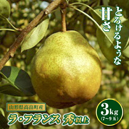 《先行予約》山形県高畠町産 ラ・フランス7～9玉（3kg） F20B-254