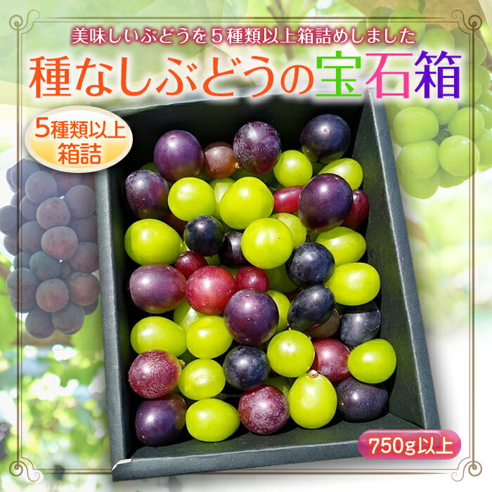 返礼品詳細 名称 種なしぶどうの宝石箱（5種類以上） 内容量 種なしぶどうの宝石箱 750g以上 化粧箱サイズ：約10cm×20cm×6cm ※品種の指定はできません。 原材料名 賞味期限 保存方法 配送方法 常温 発送期日 2024年9月中旬～10月下旬頃に順次発送 ※発送時期は、例年の発送時期を記載しております。天候や収穫状況により変更になる場合があります。 事業者 大野正敏（大野農園） 注意事項 ※写真はイメージです。 ・ふるさと納税よくある質問は こちら ・寄付申込みのキャンセル、返礼品の変更・返品はできません。あらかじめご了承ください。【ふるさと納税】≪先行予約≫2024年 山形県 高畠町産 種なしぶどうの宝石箱(約5種類) 750g以上 2024年9月中旬頃から順次発送 ぶどう ブドウ 葡萄 マスカット 大粒 種なし 高級 くだもの 果物 フルーツ 秋果実 産地直送 農家直送 数量限定 贈答 ギフト ≪先行予約≫2024年 山形県 高畠町産 種なしぶどうの宝石箱(約5種類) 750g以上 2024年9月中旬頃から順次発送 ・旬を迎えた最も美味しいぶどうを5種類以上（【白ぶどう】シャインマスカット、【黒ぶどう】高尾、ピオーネ、【赤ぶどう】クイーンニーナ、悟紅玉、シナノスマイル、コトピー他）をお詰めしてお届けいたします。 ・シャインマスカットは必ず入ります。 ・新鮮なぶどうを房から手作業で1粒1粒切り分け、ギフトボックスに1房分以上（750g以上）を丁寧に詰め、数量限定でお届けします。ギフトにも最適です。 【ご注意事項】 ※沖縄・離島へのお届けはできません。 ※季節品のため配送日指定やお届け日についてのお問合せは承っておりません。注文順に順次出荷いたします。 ※発送時期は、例年の発送時期を記載しております。天候や収穫状況により変更になる場合があります。 ※天候や収穫状況により、ご希望のお礼の品をご用意できず代替品をご用意する場合がございますので予めご了承ください。 ※種なし品種の場合でも、天候等によりまれに種が混入する場合があります。 ※配送時の揺れや傾きにより若干の傷等が生じる場合がございます。 ※お礼の品受取後、すぐにお礼の品の状態をご確認ください。万が一ひどい傷み等があった場合は、現品と交換させていただきます。写真・画像を添付の上到着から 3 日以内（土日、祝日は含まない）にお問合せセンターまでご連絡ください。お時間が過ぎてからの交換は致しかねます。 ※画像はイメージです。パッケージ・デザインが変更する場合もございます。 ※長期不在によりお礼の品をお受け取りになれない場合の保証は致しかねます。 ※期間内にお申込みいただいた場合でも、決済状況により次年度のお届けとなる場合がございますので予めご了承ください。