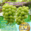 20位! 口コミ数「4件」評価「4.75」 ≪先行予約≫2024年 山形県 高畠町産 シャインマスカット 特秀2房 1.5kg 箱詰 2024年9月上旬から順次発送 ぶどう ブドウ ･･･ 