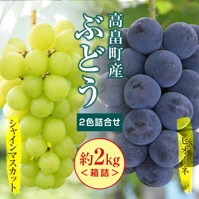 6位! 口コミ数「7件」評価「4.86」 ≪先行予約≫2024年 山形県 高畠町産 ぶどう2色詰合せ 約2kg 箱詰 2024年9月中旬から順次発送 ぶどう ブドウ 葡萄 マスカッ･･･ 