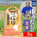  山形県 高畠町産 特別栽培米 ゆうだい21 玄米5 kg(1袋) 米 お米 おこめ ごはん ブランド米 F20B-473