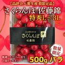 【ふるさと納税】《先行予約》さくらんぼ 佐藤錦 フルーツ 果物 山形県【品評会入賞生産者限定品】置賜産 さくらんぼ 佐藤錦 特秀 L～3L 500gバラ ふるさと納税 さくらんぼ フルーツ 果物 山形 高畠町 ふるさと 人気 送料無料 ランキング F20B-488