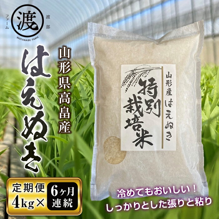 【ふるさと納税】《定期便》山形県高畠産はえぬき4kg（2kg