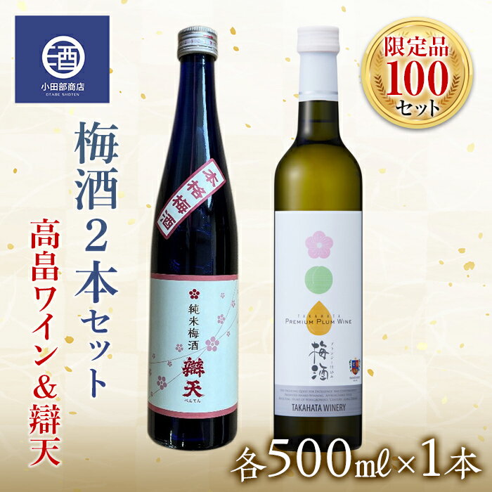 20位! 口コミ数「1件」評価「5」限定品100セット 梅酒2本 高畠ワイン&辯天 500ml 梅酒セット F20B-561