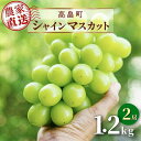 【ふるさと納税】【農業者支援】≪先行予約≫ご家庭用 2024年 山形県 高畠町産 シャインマスカット 1.2kg(2房) 2024年10月中旬頃から順次発送 ぶどう ブドウ 葡萄 マスカット 大粒 種なし 高級 くだもの 果物 フルーツ 産地直送 農家直送 数量限定 ご自宅用 訳あり F20B-738