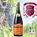 【ふるさと納税】 限定 高畠 亜硫酸塩無添加スパークリング マスカットベーリーA 750ml 高畠ワイナリー 甘口 ライトボディ ワイン 赤ワイン 発泡 酒 お酒 アルコール 山形県 高畠町 F20B-827