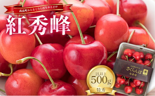 さくらんぼ フルーツ 果物 山形県 高畠町産 ハウスさくらんぼ 紅秀峰 特秀 500g バラパック 2L以上 | ふるさと納税 さくらんぼ フルーツ 果物 山形 高畠町 ふるさと 人気 送料無料 ランキング F21B-071