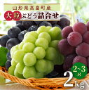 5位! 口コミ数「28件」評価「4.36」《先行予約》大粒 ぶどう 詰合せ 2～3色 2kg ふるさと納税 シャインマスカット 葡萄 セット ブドウ 巨峰 ピオーネ クイーンニーニャ･･･ 