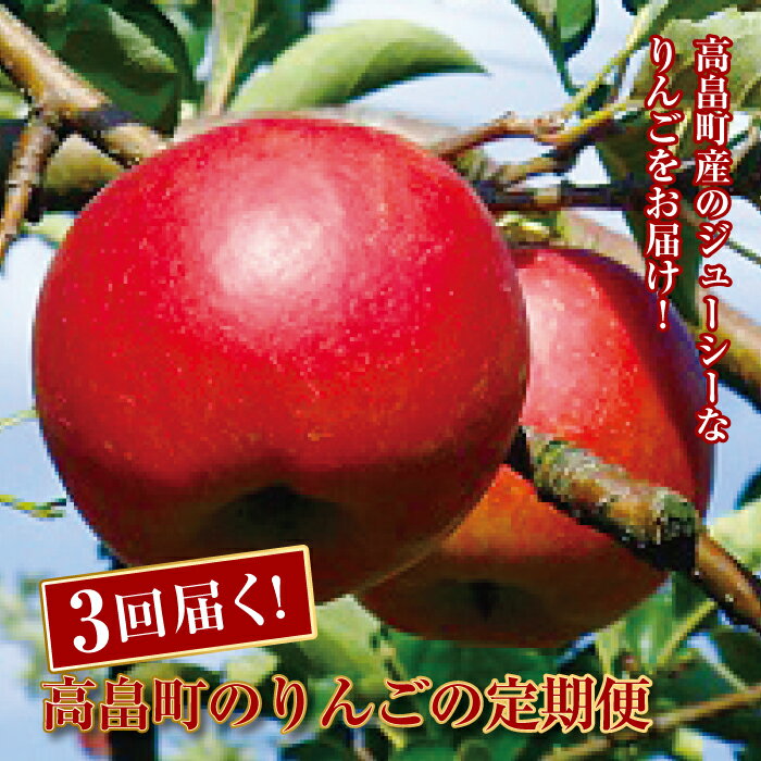 [先行予約]山形県高畠町産 りんご定期便 (早生種・中生種・晩生種) 3回お届け F20B-258