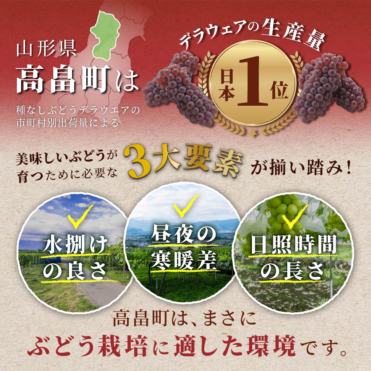 【ふるさと納税】《先行予約》大粒 ぶどう 詰合せ 2～3色 2kg ふるさと納税 シャインマスカット 葡萄 セット ブドウ 巨峰 ピオーネ クイーンニーニャ ゴルビー 高尾 蔵王おとめ 大粒 農家直送 朝採れ 山形県 高畠町 2024 数量限定 ふるさと 人気 送料無料 F20B-134