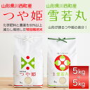 人気ランキング第16位「山形県川西町」口コミ数「0件」評価「0」【2024年産　先行予約】山形県産　つや姫・雪若丸　計10kg【1120498】
