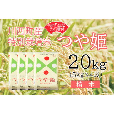 【ふるさと納税】令和4年産　つや姫20kg　精米　真空パック詰【1121442】