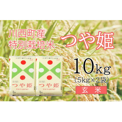 【ふるさと納税】川西町産米「つや姫」玄米　真空パック詰　10kg【令和3年産】【1144426】