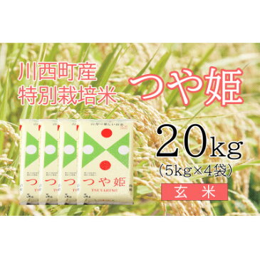 【ふるさと納税】川西町産米「つや姫」玄米　真空パック詰　20kg【令和3年産】【1144429】