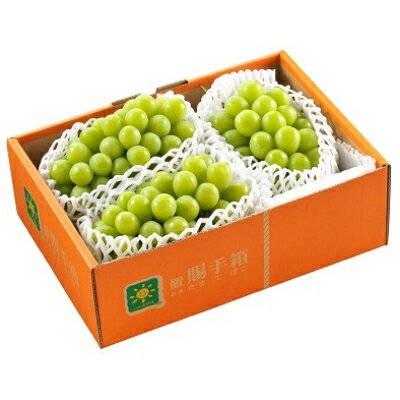 【ふるさと納税】シャインマスカット(秀)2房～3房(1.7kg)【配送不可地域：離島】【1247050】のサムネイル