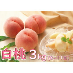 【ふるさと納税】桃　3kg(8玉～11玉)　品種おまかせ　化粧箱 【果物/白桃】【配送不可地域：離島・北海道・沖縄県・信越、北陸・東海・近畿・中国・四国・九州】【1291670】