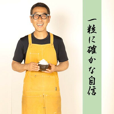 【ふるさと納税】【令和7年産 】山形県産【はえぬき】精米20kg(20kg×1袋)【1672663】 2