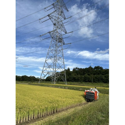 【ふるさと納税】【令和7年産 】山形県産【はえぬき】精米20kg(20kg×1袋)【1672663】 3