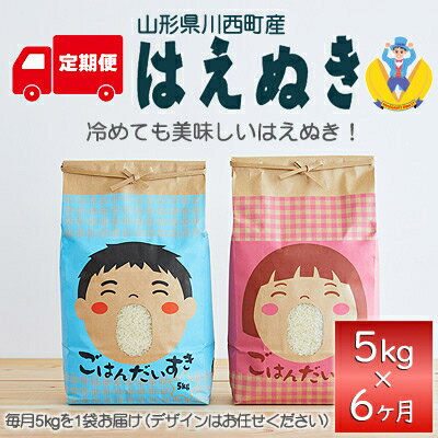 【ふるさと納税】【毎月定期便】山形県産米「はえぬき」5kg(5kg×1袋)全6回【4003476】