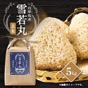 【ふるさと納税】【令和7年産先行予約】山形県川西町産 雪若丸 玄米5kg【1462420】