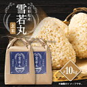 【ふるさと納税】【令和7年産先行予約】山形県川西町産 雪若丸 玄米10kg【1462424】