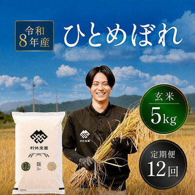 【ふるさと納税】【発送月固定定期便】ひとめぼれ(玄米)5kg 山形産全12回【4091141】