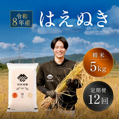 【ふるさと納税】【発送月固定定期便】はえぬき (精米)5kg 山形県産全12回【4091165】