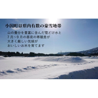 山形県小国町の画像3