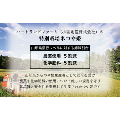 【ふるさと納税】つや姫・雪若丸食べ比べセット 2kg×2袋 精米 令和7年産米 山形県小国町産【1099563】
