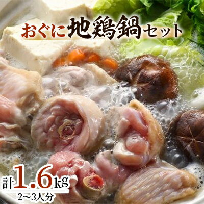 おぐに地鶏鍋セット (2～3人分)【配送不可地域：離島】【1109947】