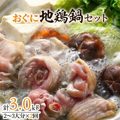 【ふるさと納税】おぐに地鶏鍋セット(2~3人分×2回)【配送不可地域:離島】【1109948】 【ふるさと納税】おぐに地鶏鍋セット(2~3人分×2回)【配送不可地域:離島】【1109948】