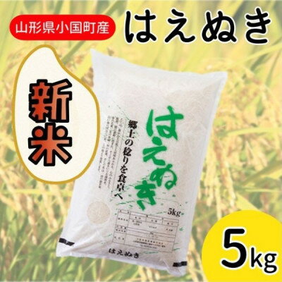 山形県小国町産　はえぬき5kg【1413241】