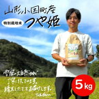 【ふるさと納税】山形県小国町産　つや姫　精米5kg【1462791】