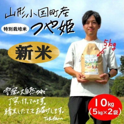 山形県小国町産　つや姫　精米10kg(5kg×2袋)【1462828】