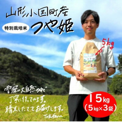 楽天ふるさと納税　【ふるさと納税】山形県小国町産　つや姫　精米15kg(5kg×3袋)【1462833】