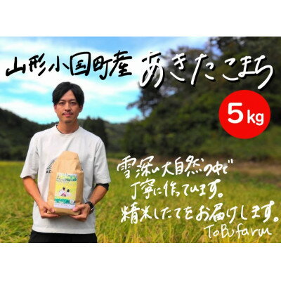 令和5年産 山形県小国町産 あきたこまち 精米・5kg