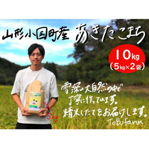 【ふるさと納税】令和5年産　山形県小国町産 あきたこまち　精米　10kg(5kg×2袋)【1462872】