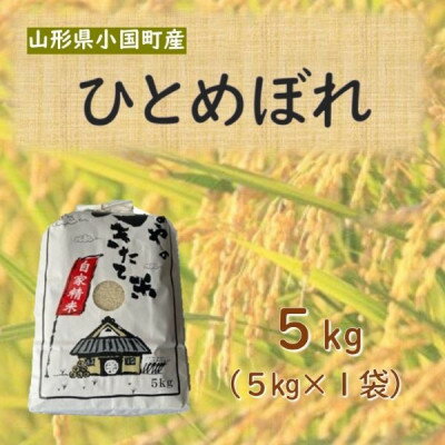 山形県小国町産　ひとめぼれ　精米5kg【1462899】